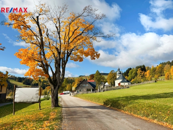 3069090.jpg 3069090.jpg