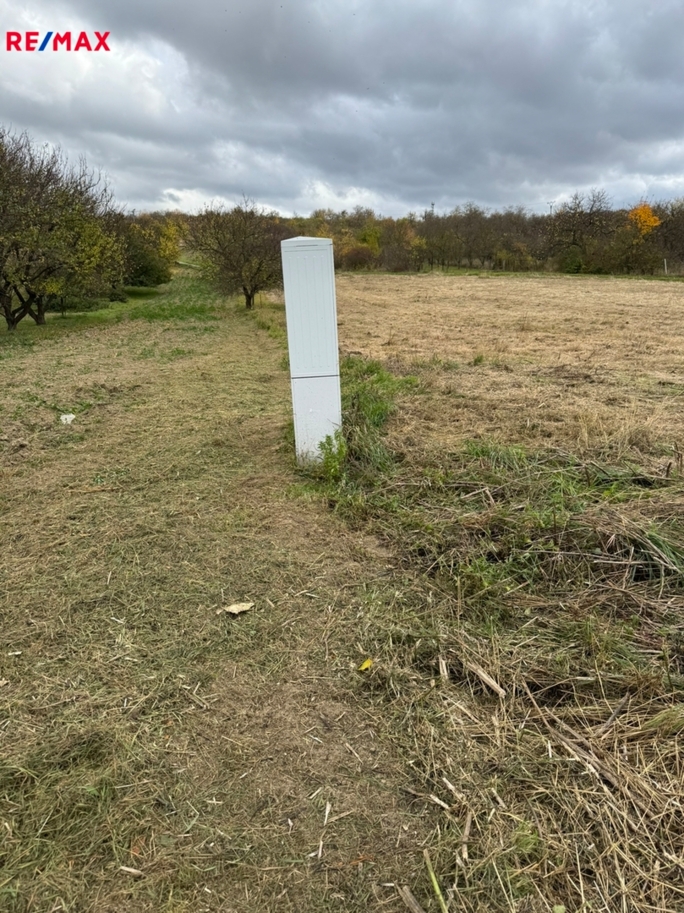 Tomáš Šimek Tomáš Šimek