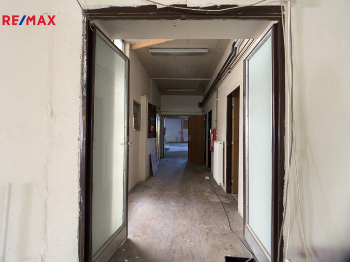 REMAX Delux