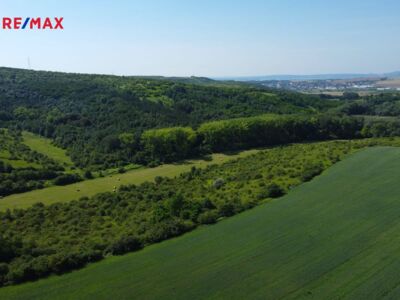 Prodej nemovitostí Brno