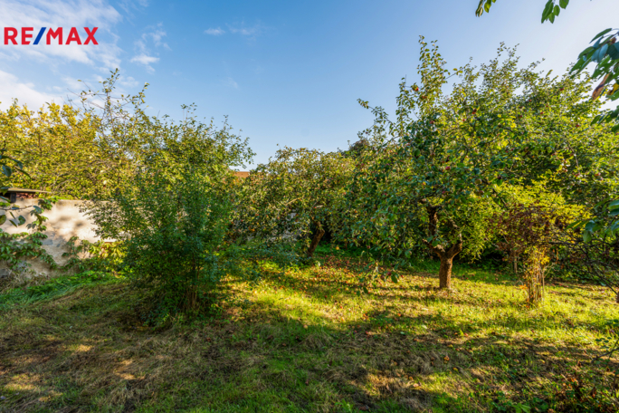 3041328.jpg 3041328.jpg