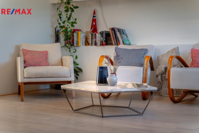 REMAX Delux