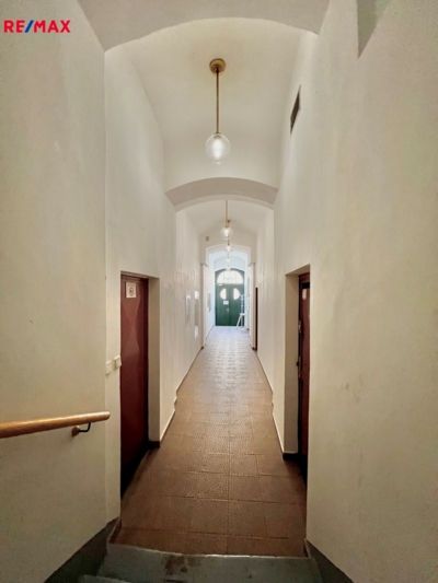 REMAX Delux REMAX Delux