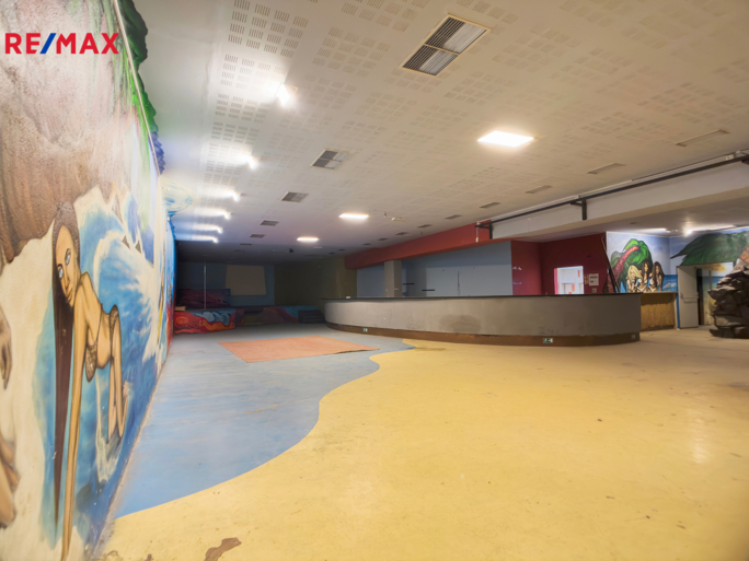 Pronájem obchodního prostoru, 850 m2, Rousínov - obrázek 9