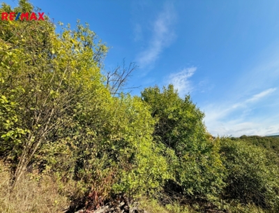 Rrealitka Brno Rrealitka Brno