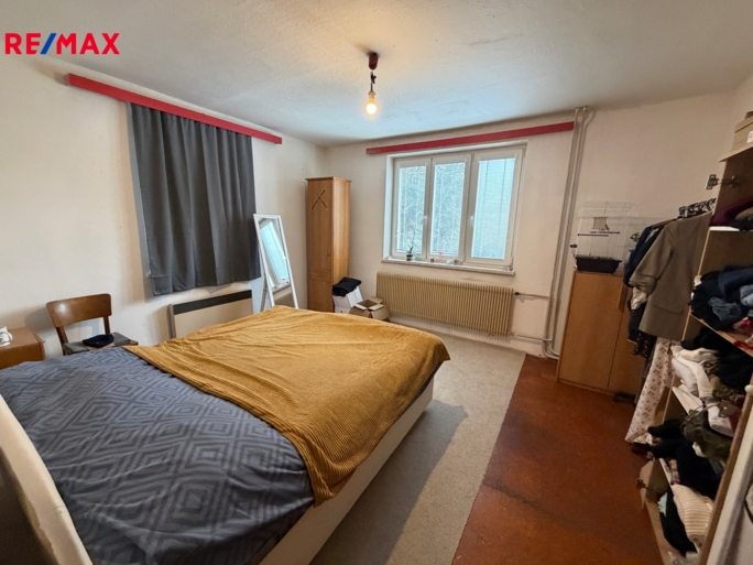 REMAX Delux