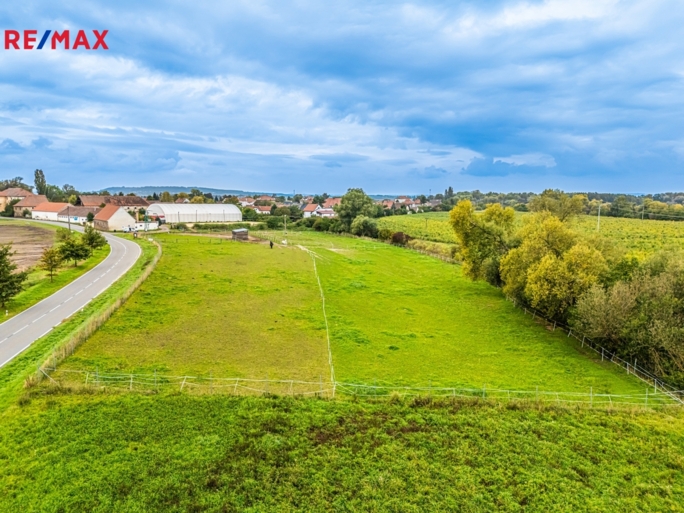 REMAX Brno REMAX Brno