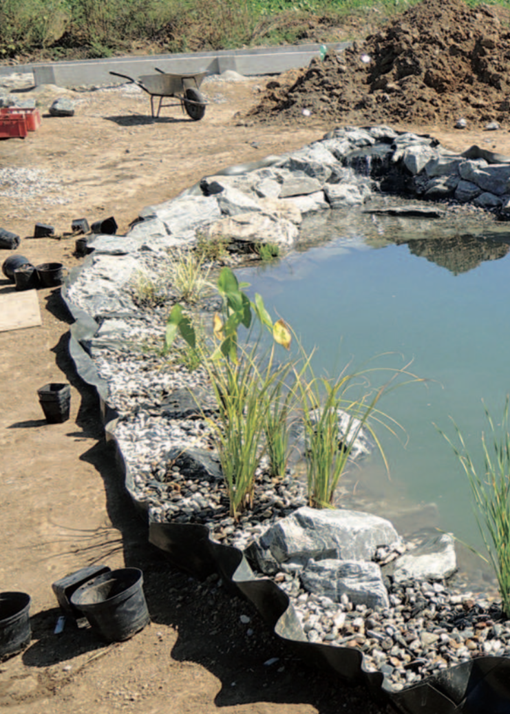 Jak vybudovat zahradní jezírko?