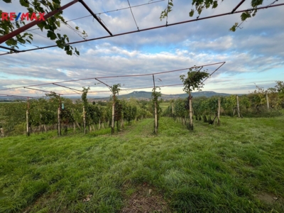 REMAX Delux REMAX Delux