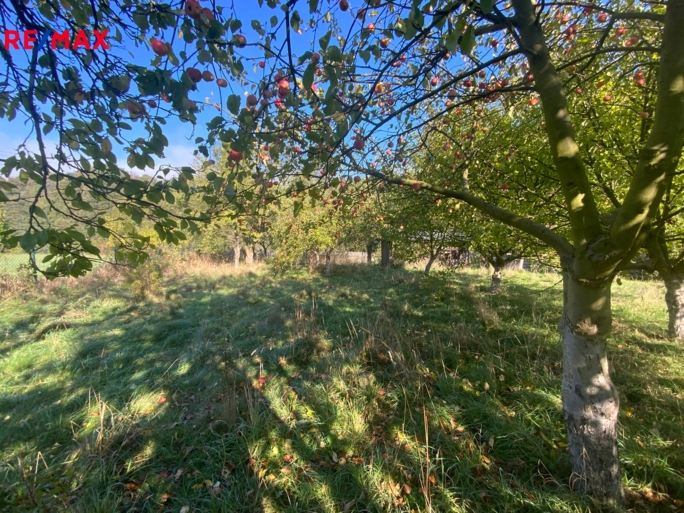 Prodej zahrady, 702 m2, Stráž nad Ohří Prodej zahrady, 702 m2, Stráž nad Ohří