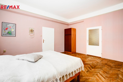 REMAX Delux