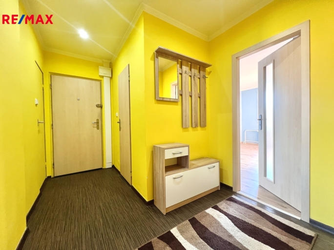 3142574.jpeg 3142574.jpeg