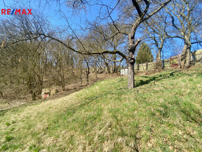 REMAX Delux REMAX Delux