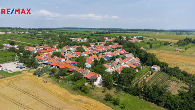 Prodej vinného sklepa, Prušánky - obrázek 47