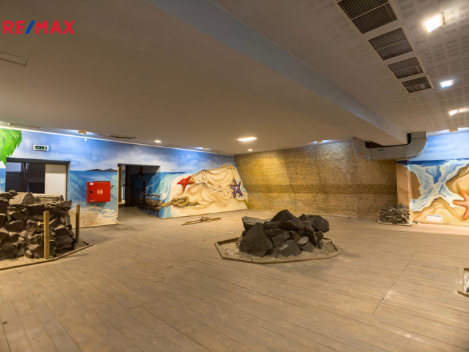 Pronájem obchodního prostoru, 850 m2, Rousínov - obrázek 13