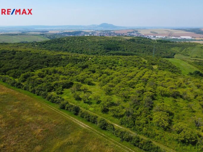 Prodej sadu/vinice, 3780 m2, Hustopeče - obrázek 1