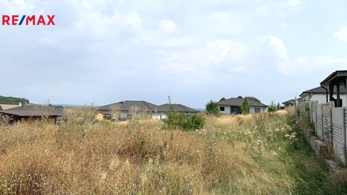 2950537.jpeg 2950537.jpeg