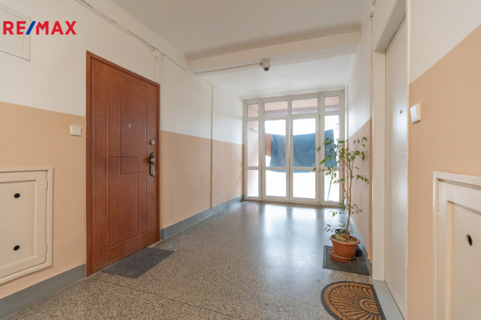 Práce v realitách Brno