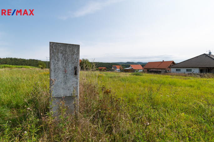 3076492.jpg 3076492.jpg