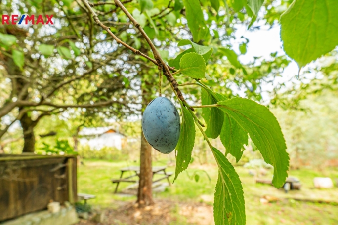 Prodej nemovitostí Brno