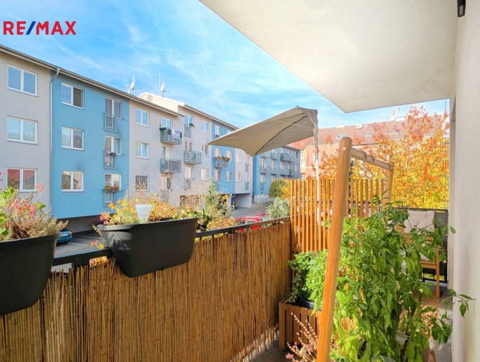 3072646.jpg 3072646.jpg