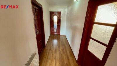 REMAX Delux REMAX Delux