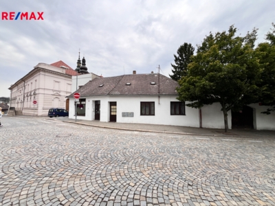 REMAX Delux REMAX Delux