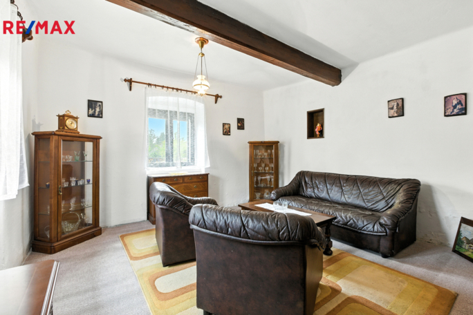 REMAX Delux REMAX Delux