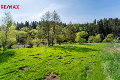 2787227.jpg 2787227.jpg