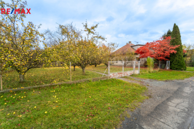 3064937.jpg 3064937.jpg