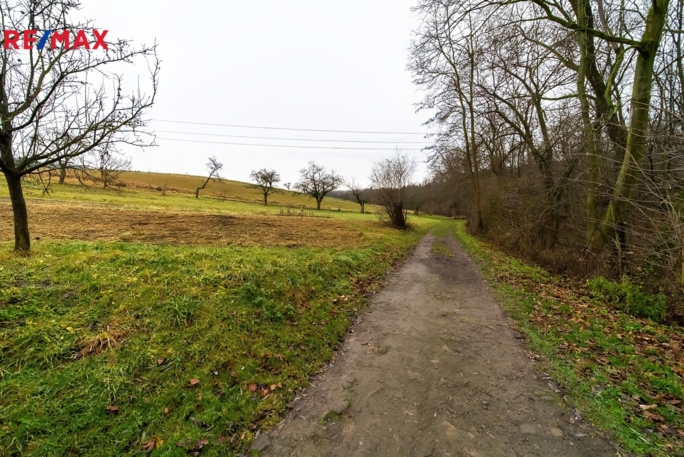 Prodej pozemku pro bydlení, 2139 m2, Nížkovice - obrázek 13