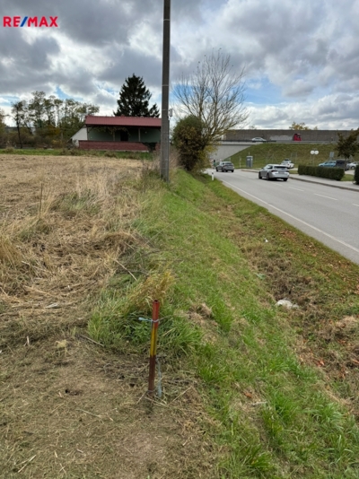 REMAX Delux REMAX Delux