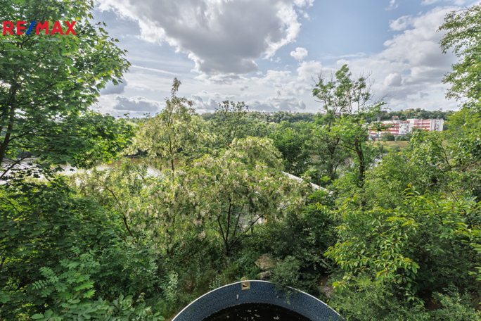 2830735.jpg 2830735.jpg