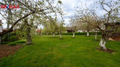 Realitní makléř Brno