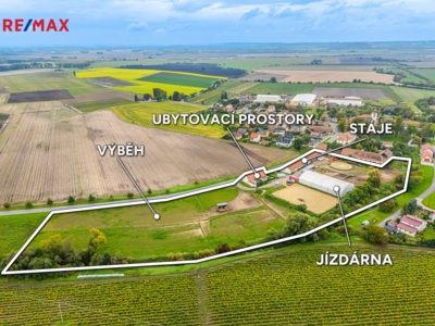 3032860.jpg 3032860.jpg