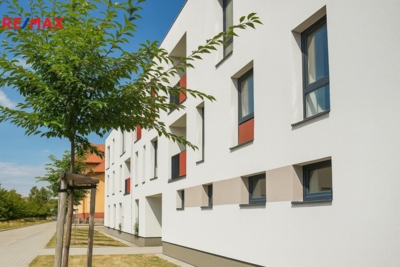 2926035.jpeg 2926035.jpeg