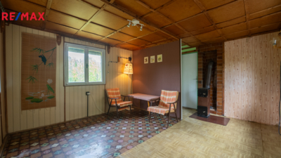 REMAX Delux