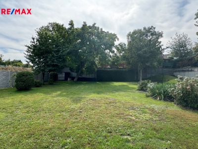 REMAX Delux REMAX Delux