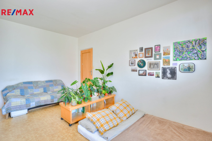 Práce v realitách Brno