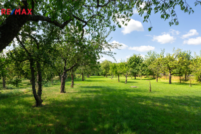 2756309.jpg 2756309.jpg