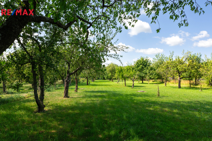 2756309.jpg 2756309.jpg