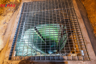 REMAX Brno REMAX Brno