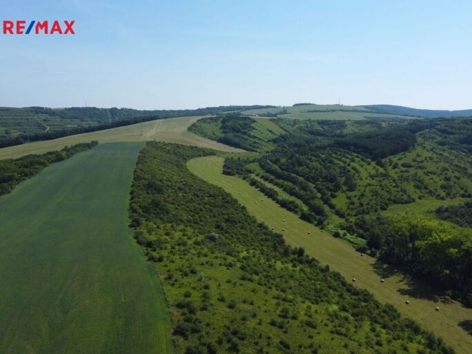 Prodej trvalého travního porostu, 4095 m2, Hustopeče - obrázek 11