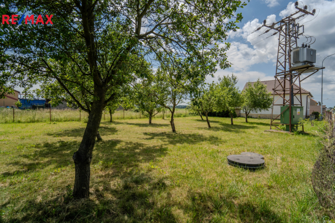 3049813.jpg 3049813.jpg