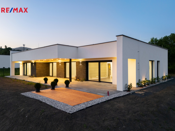 REMAX Delux