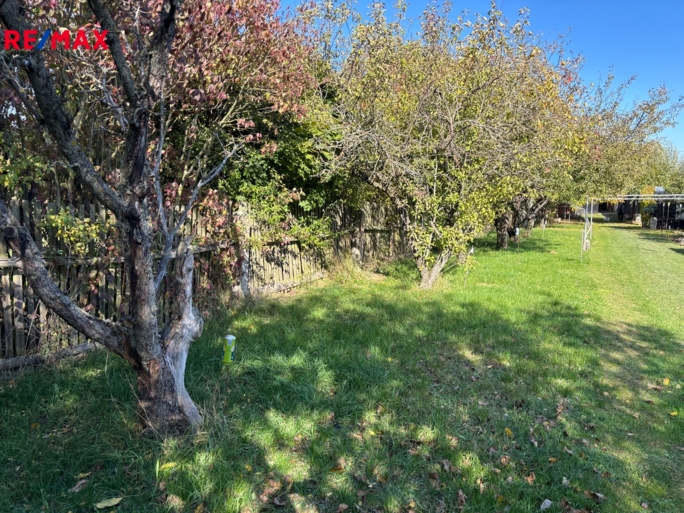 3058670.jpg 3058670.jpg