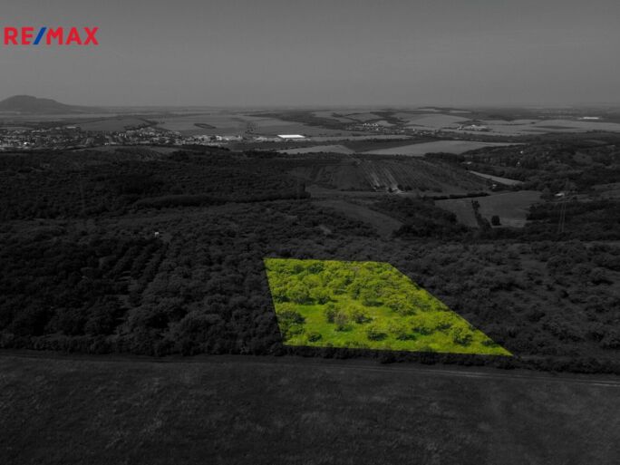 Prodej sadu/vinice, 3780 m2, Hustopeče - obrázek 4