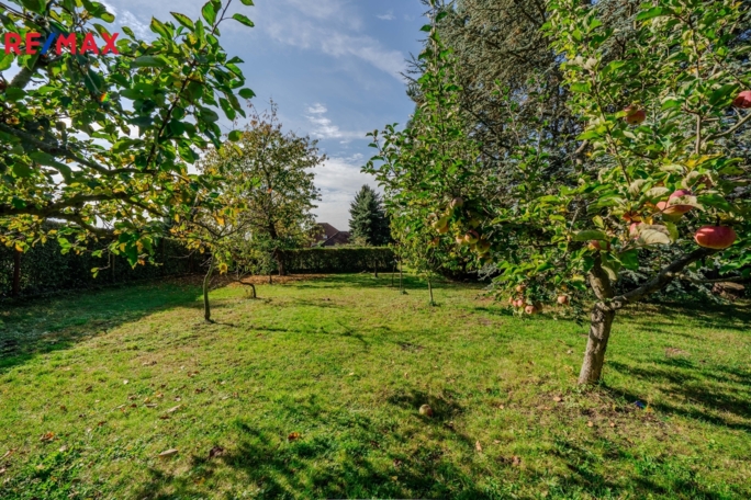 3070469.jpg 3070469.jpg