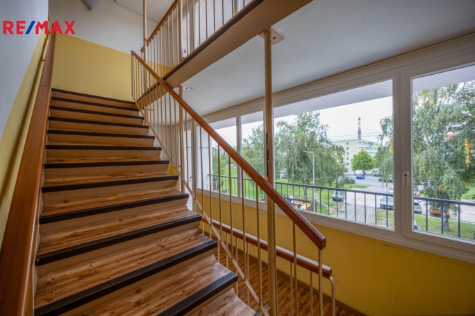 3065162.jpg 3065162.jpg