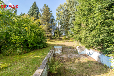 3039199.jpg 3039199.jpg